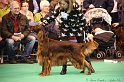 Crufts2011_2 073